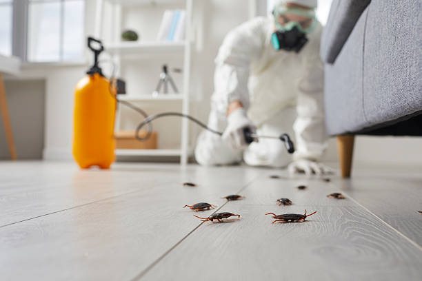 Commercial Kitchen Cockroach Control in Pascagoula